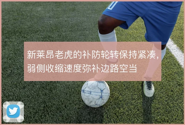 新莱昂老虎的补防轮转保持紧凑，弱侧收缩速度弥补边路空当